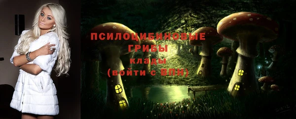 Альфа ПВП Лиски
