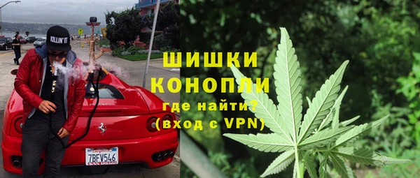 ECSTASY Липки