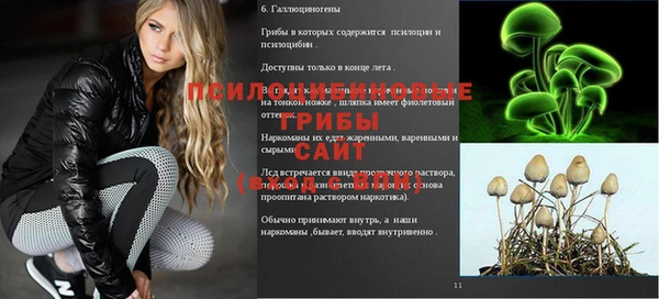 ECSTASY Липки