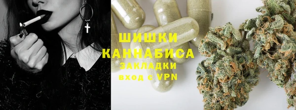 амф Майский