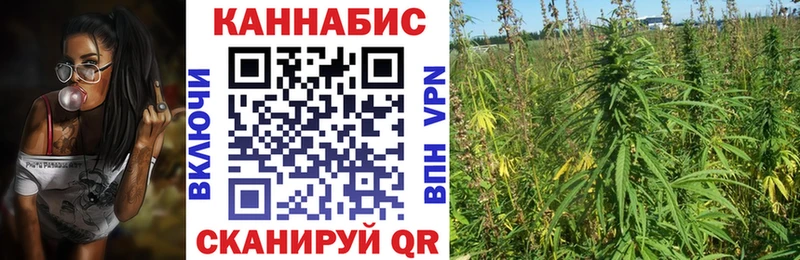Конопля AK-47  Городище 